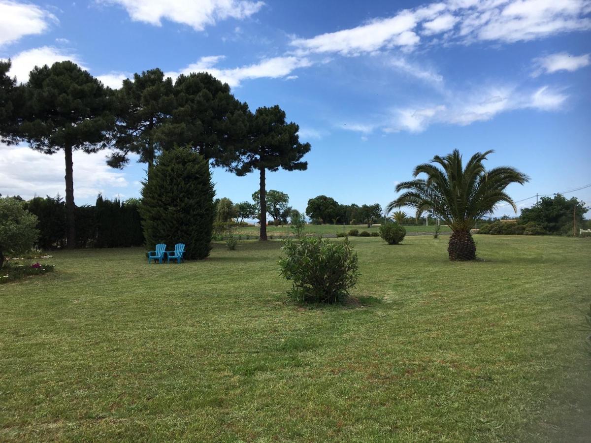 Chambre D'Hotes Villa Cote Vermeille Argelès-sur-Mer Exteriör bild